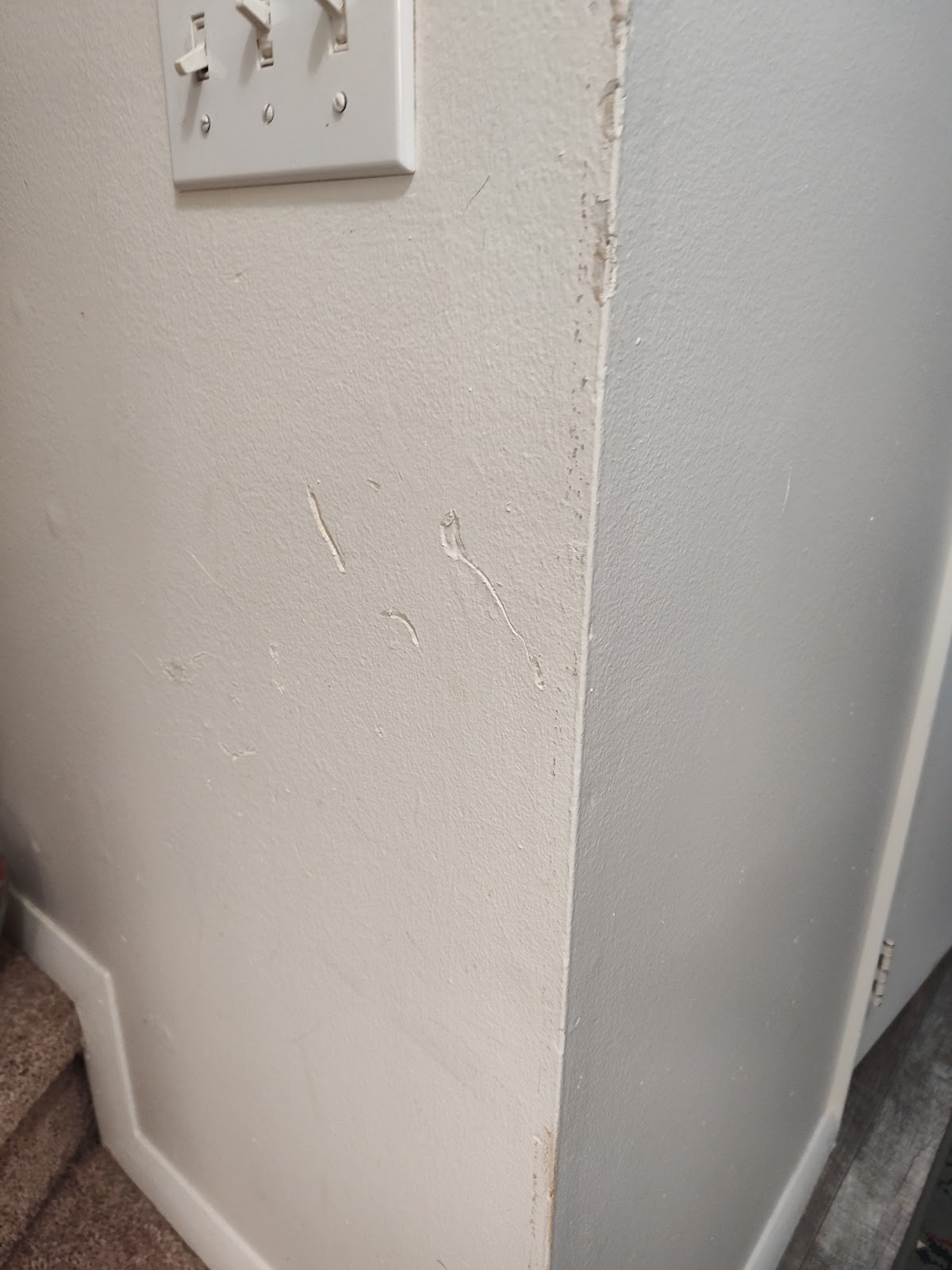 Drywall & Painting