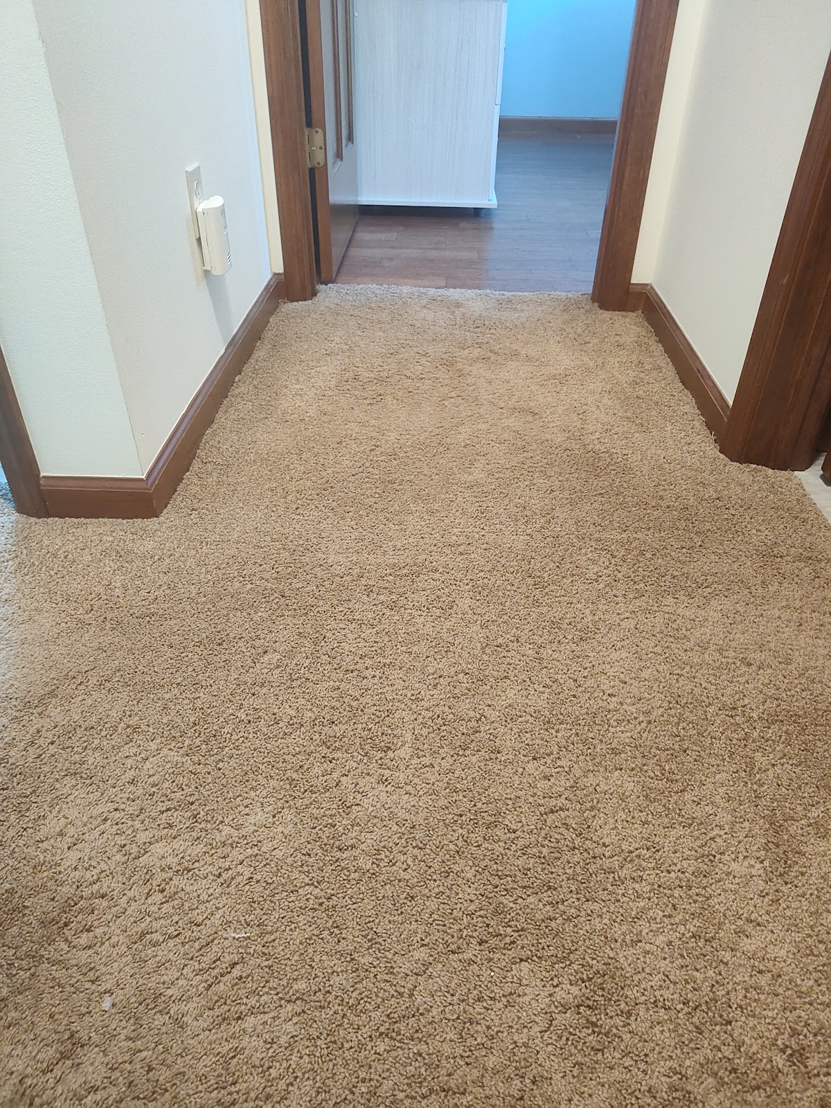 Hallway flooring and trim work